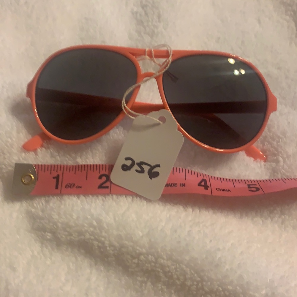 RETRO CHIC SUNGLASSES
